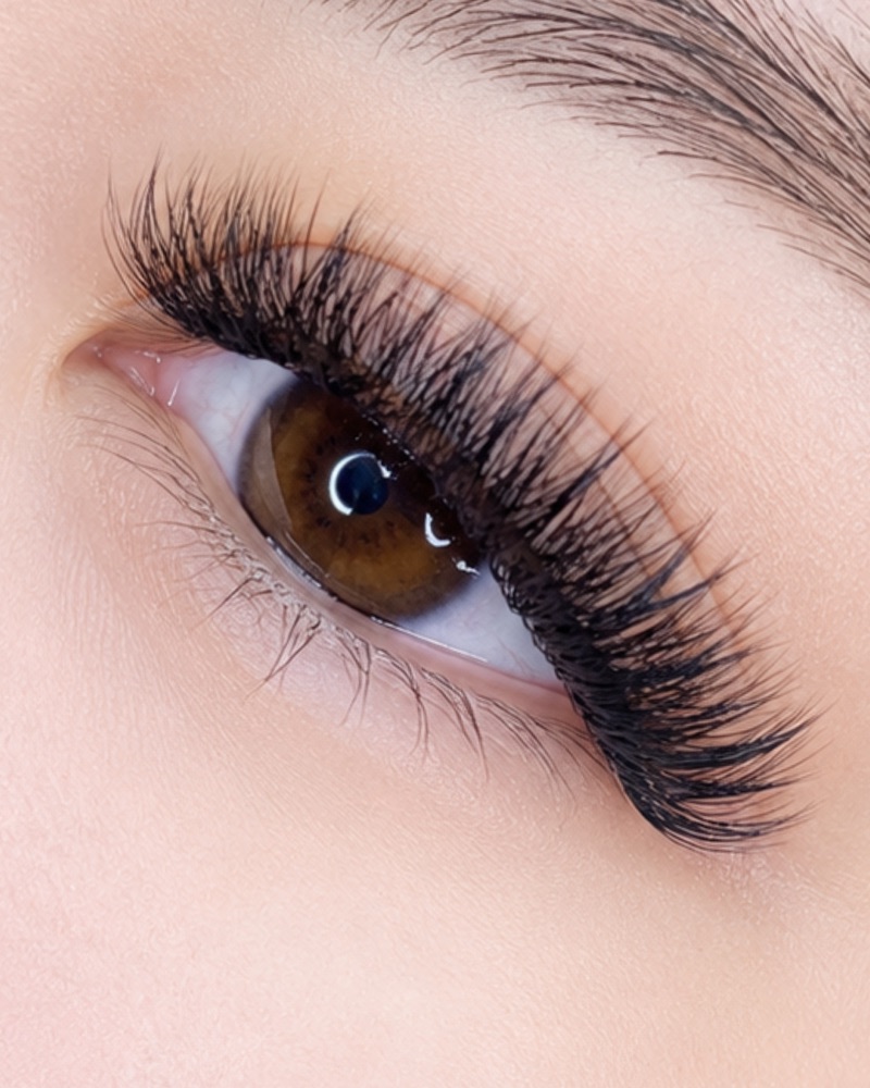 Light Volume Wimpern – PHI LUXE LASHES®